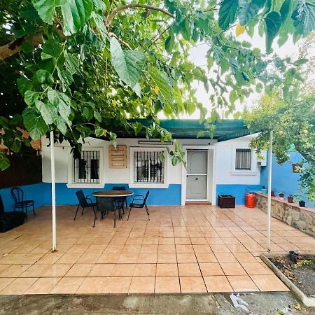 Estudio Adosado Acogedor Con Jardin, Barbacoa Y Parking Privado Alicante Zewnętrze zdjęcie