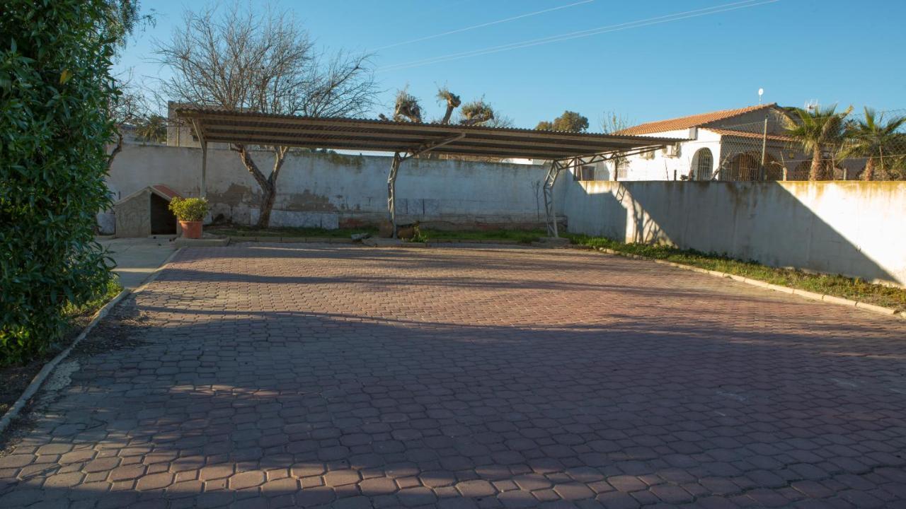 Estudio Adosado Acogedor Con Jardin, Barbacoa Y Parking Privado Alicante Zewnętrze zdjęcie